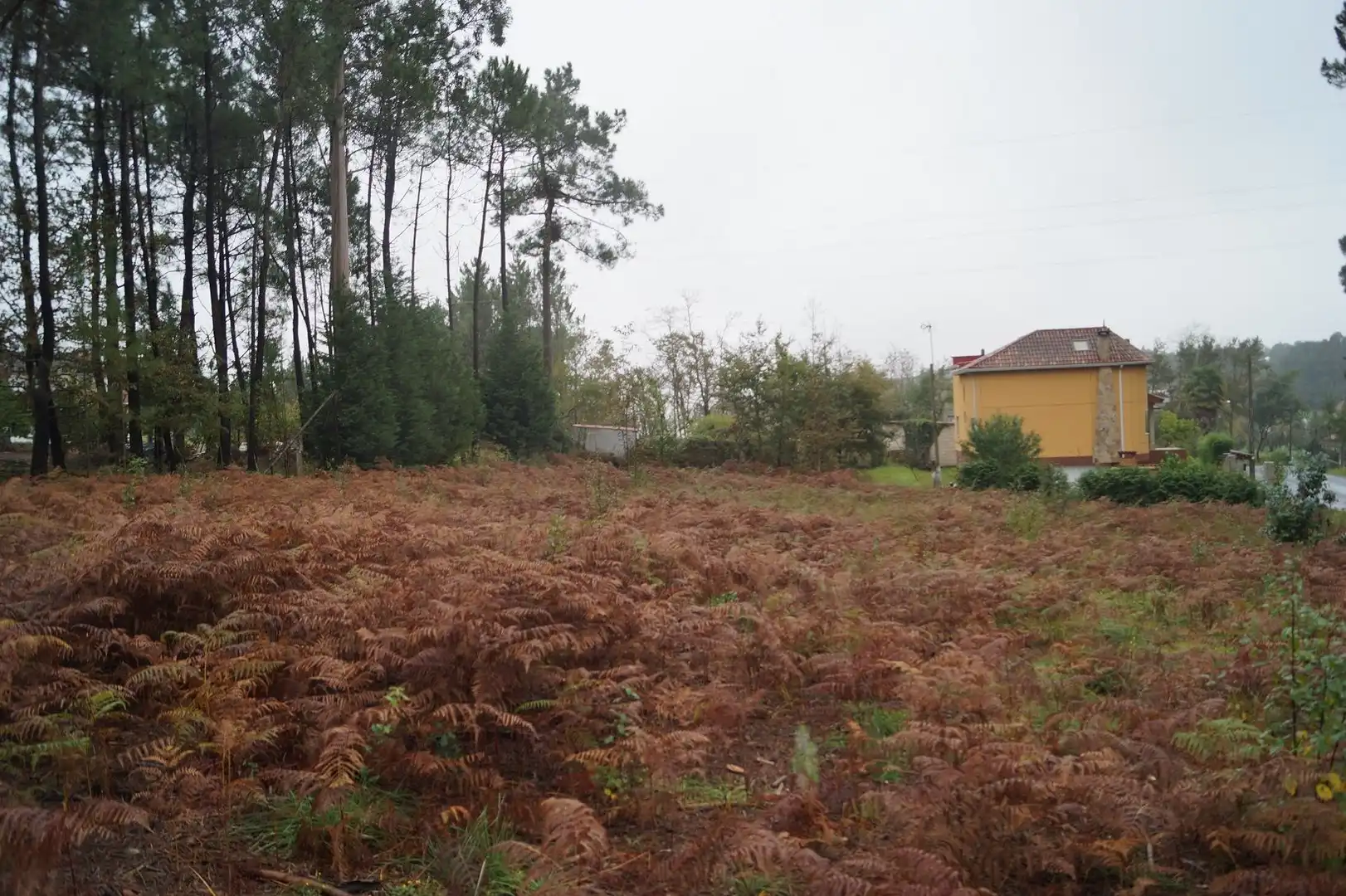 Wohnbaugrundstück zum Verkauf in Boiro, imagen 2