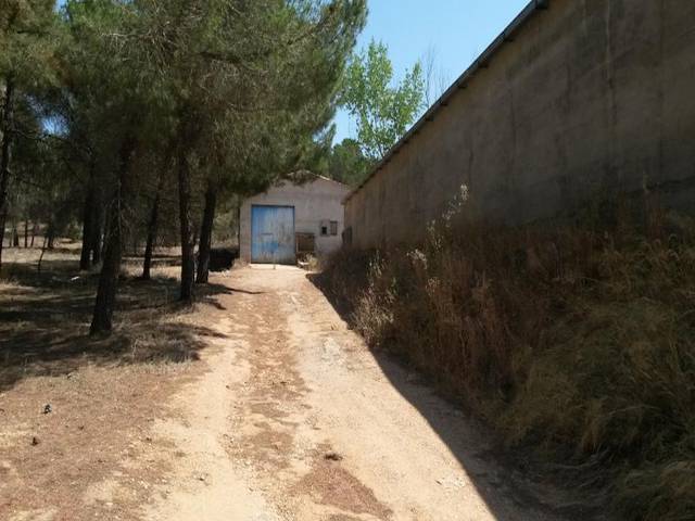 Finca rústica en Venta en De Las Carboneras en Casasimarro
