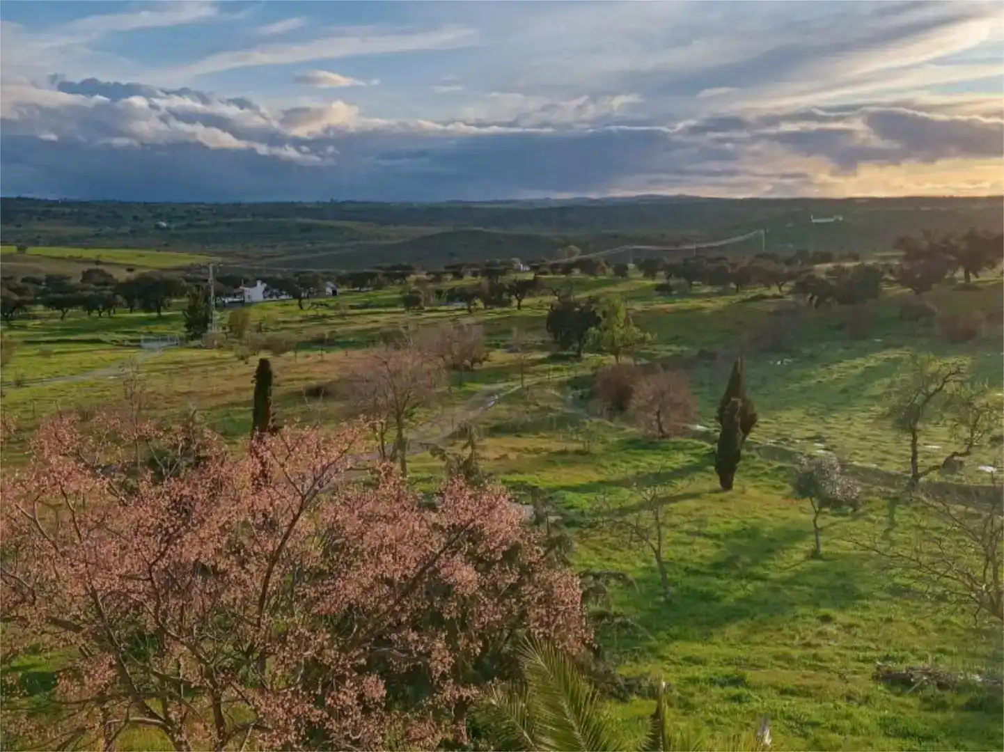 Finca rústica en venda en Azuaga