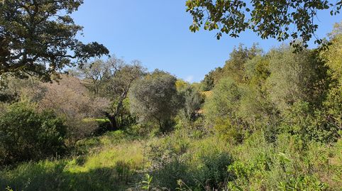 Photo 3 of Residential for sale in N/a, -1, La Reserva, Sotogrande