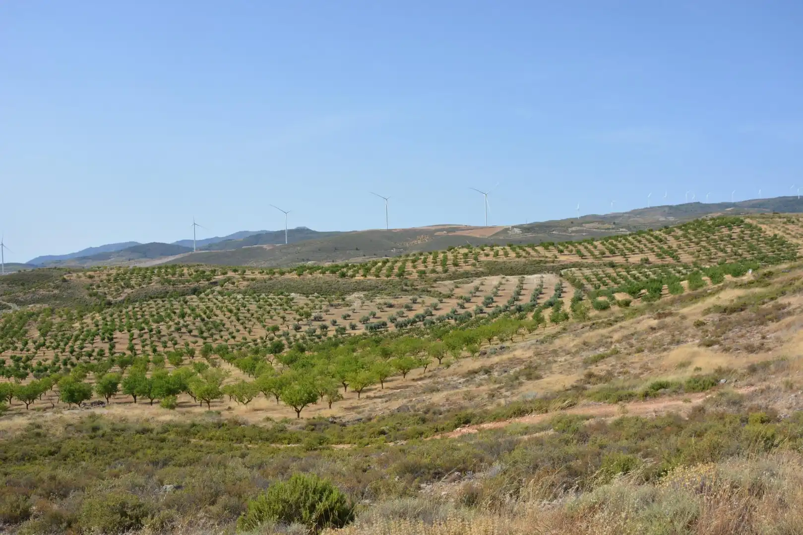 Land for sale in Padul