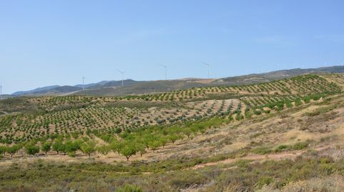 Foto 4 von Grundstücke zum Verkauf in Padul, Granada