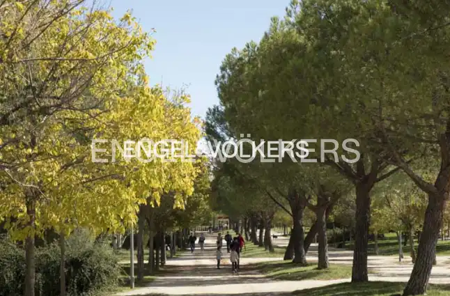 Exterior view of Flat for rent in Las Rozas de Madrid  with Air Conditioner, Heating and Private garden