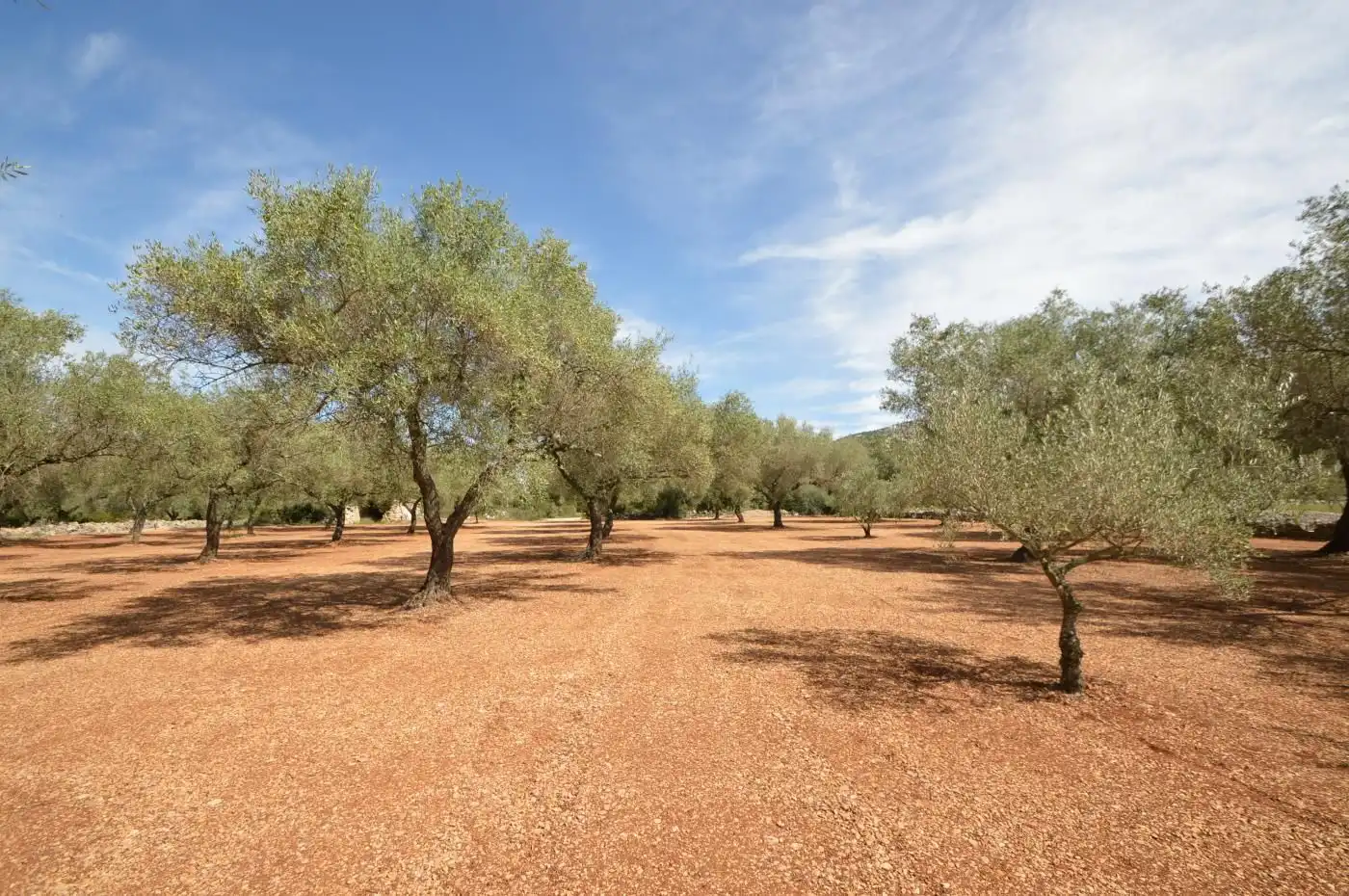 Finca rústica en venda en Sant Mateu amb Terrassa, Traster i Moblat