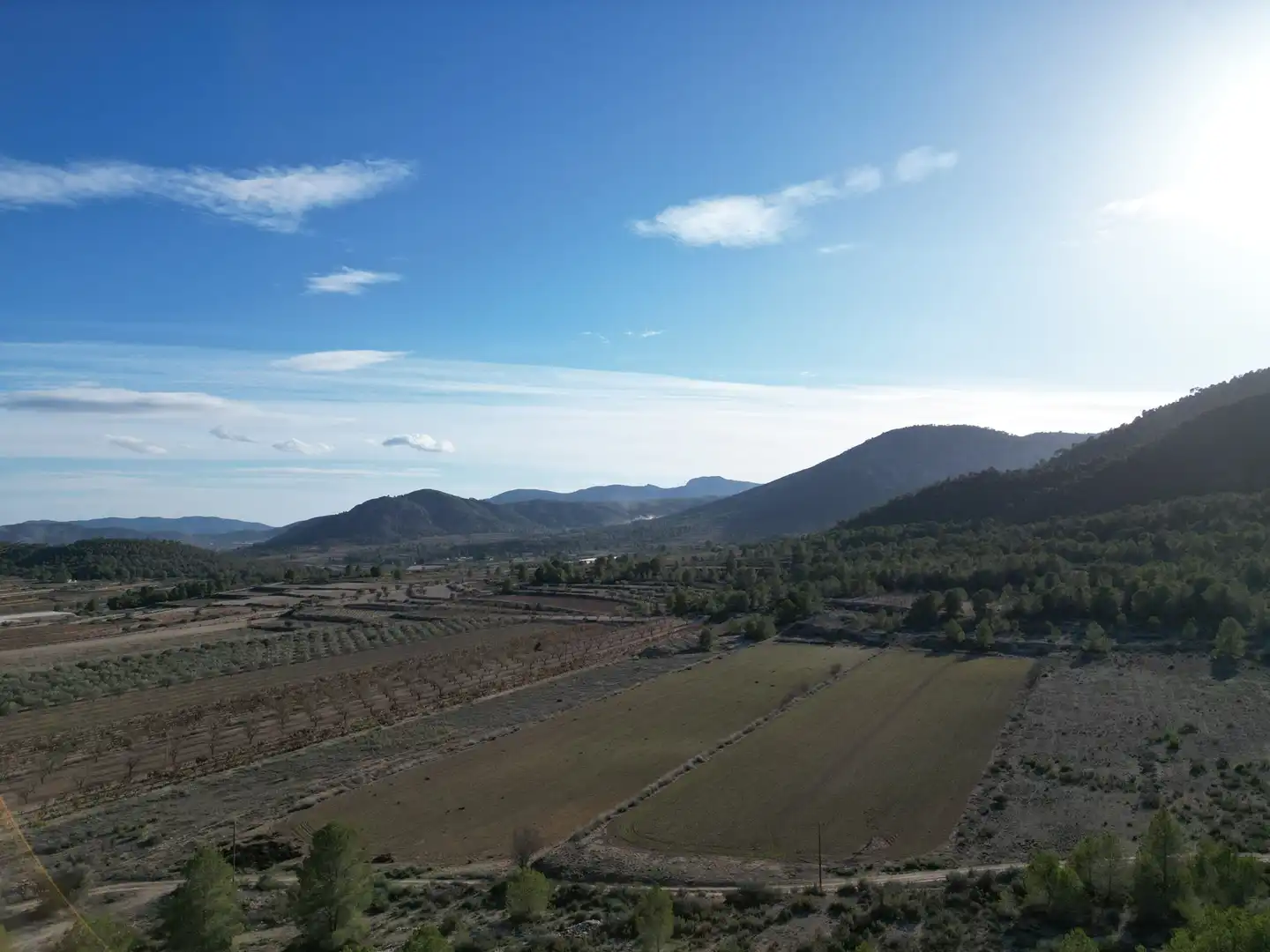 Terreny residencial en venda a Monóvar  / Monòver, imagen 13