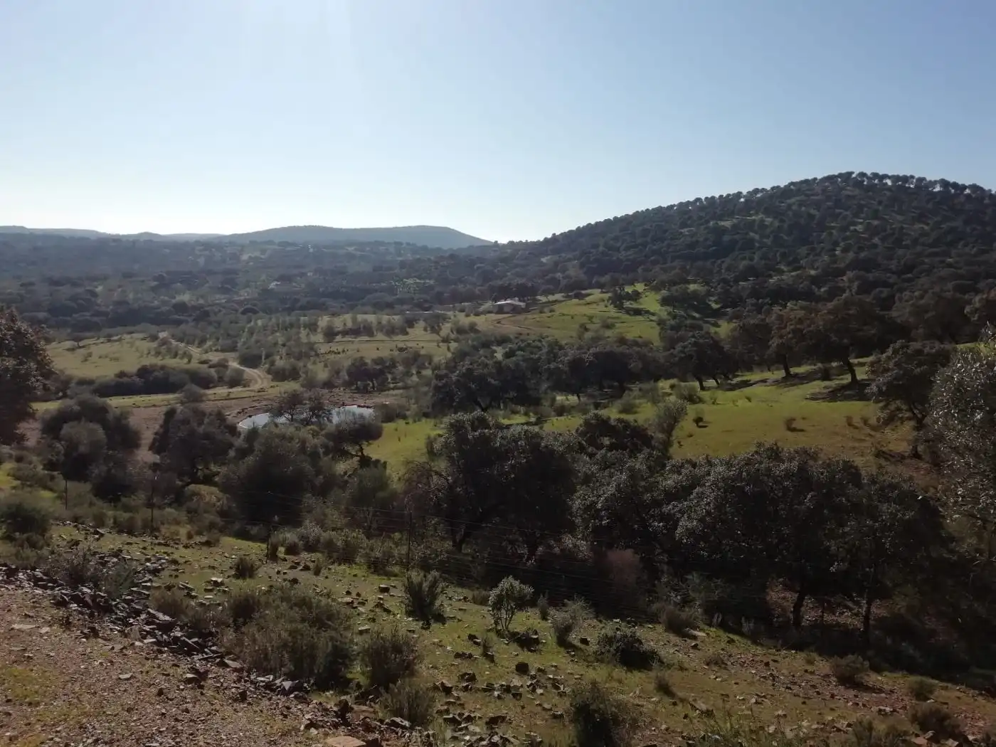Finca rústica en venda en Almadén de la Plata amb Calefacció i Terrassa