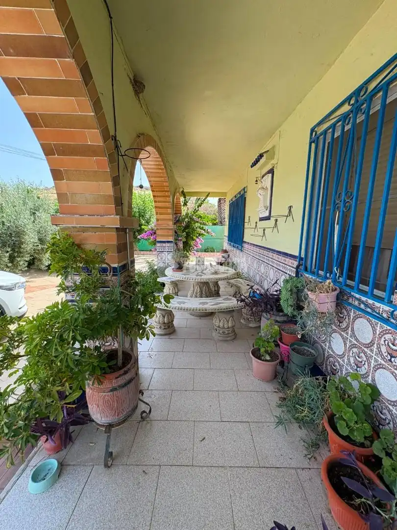 Terraza de Finca rústica en venta en Jaén