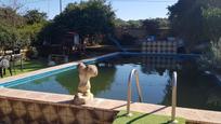 Piscina de Casa o xalet en venda en Carmona amb Jardí privat, Traster i Moblat