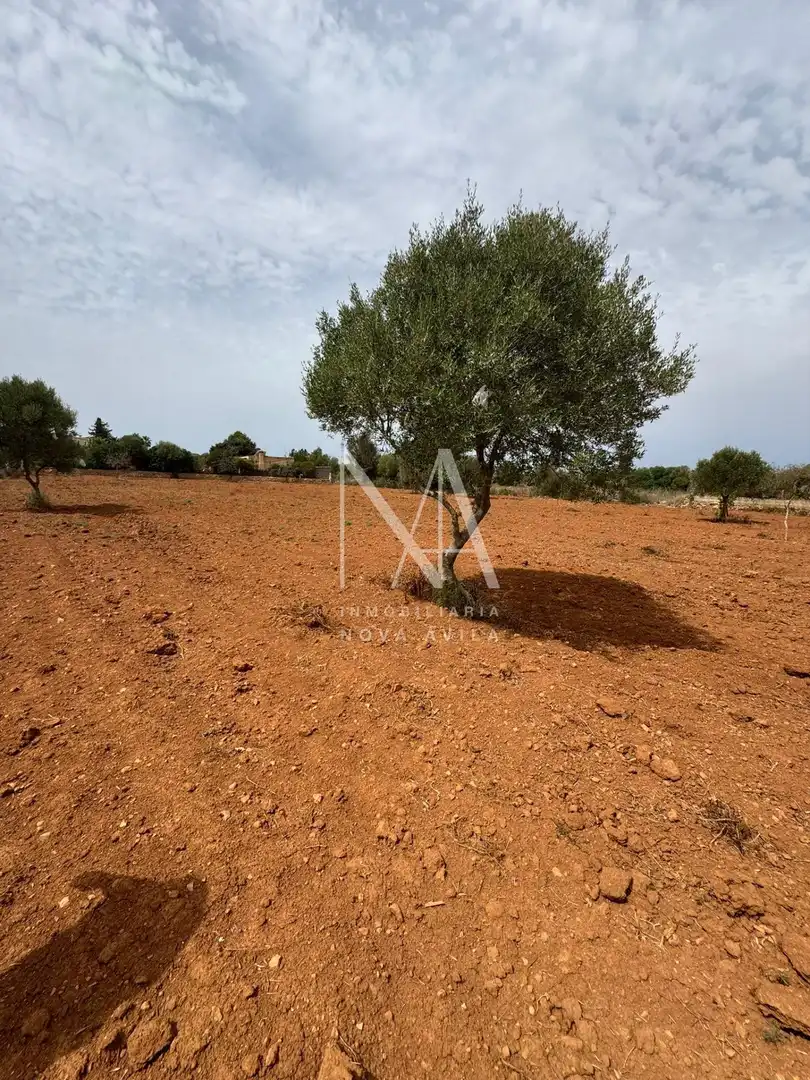 Casa rústica en venta en Llucmajor pueblo, imagen 14