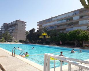 Swimming pool of Apartment to rent in Guardamar del Segura  with Swimming Pool and Balcony