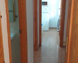 Study to rent in San Vicente del Raspeig / Sant Vicent del Raspeig  with Furnished, Oven and Washing machine