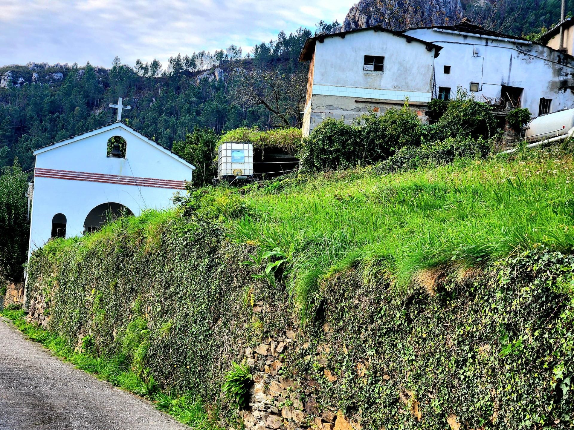 Exterior view of House or chalet for sale in Villayón  with Private garden