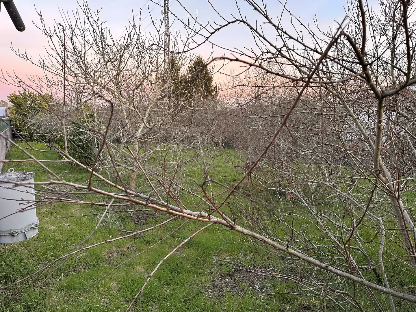 Terrains et parcelles à vendre à Cacheiras, imagen 3
