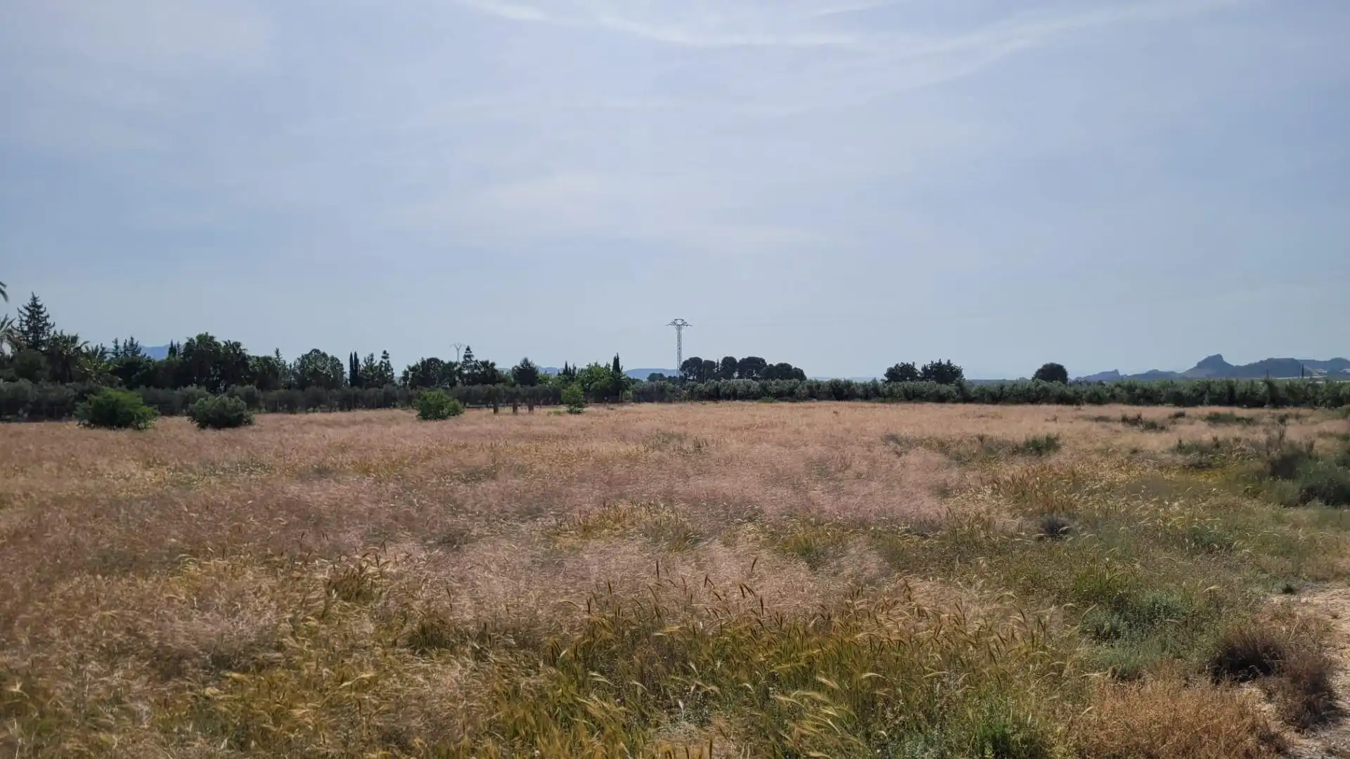 Terreno en venta en Blanca