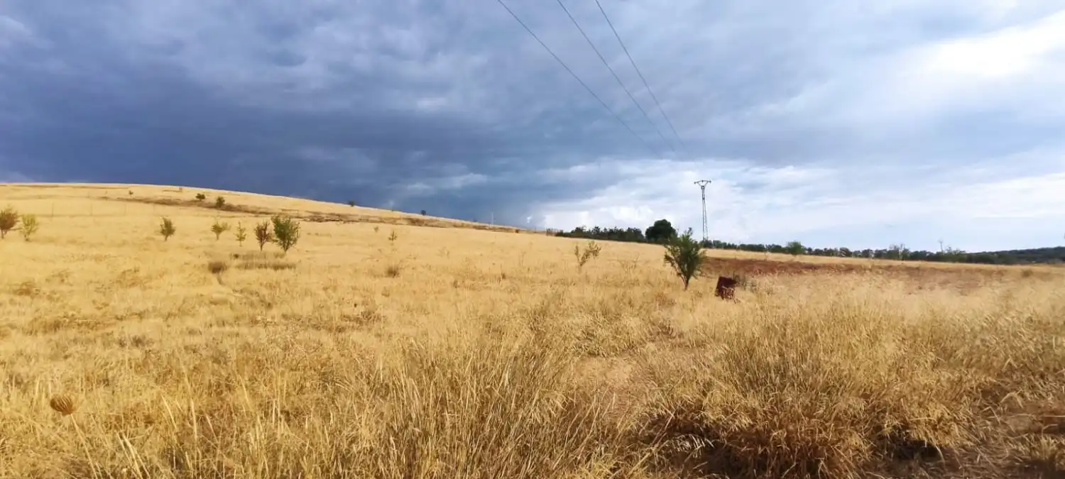 Lands and plots for sale in Valdepeñas, imagen 6