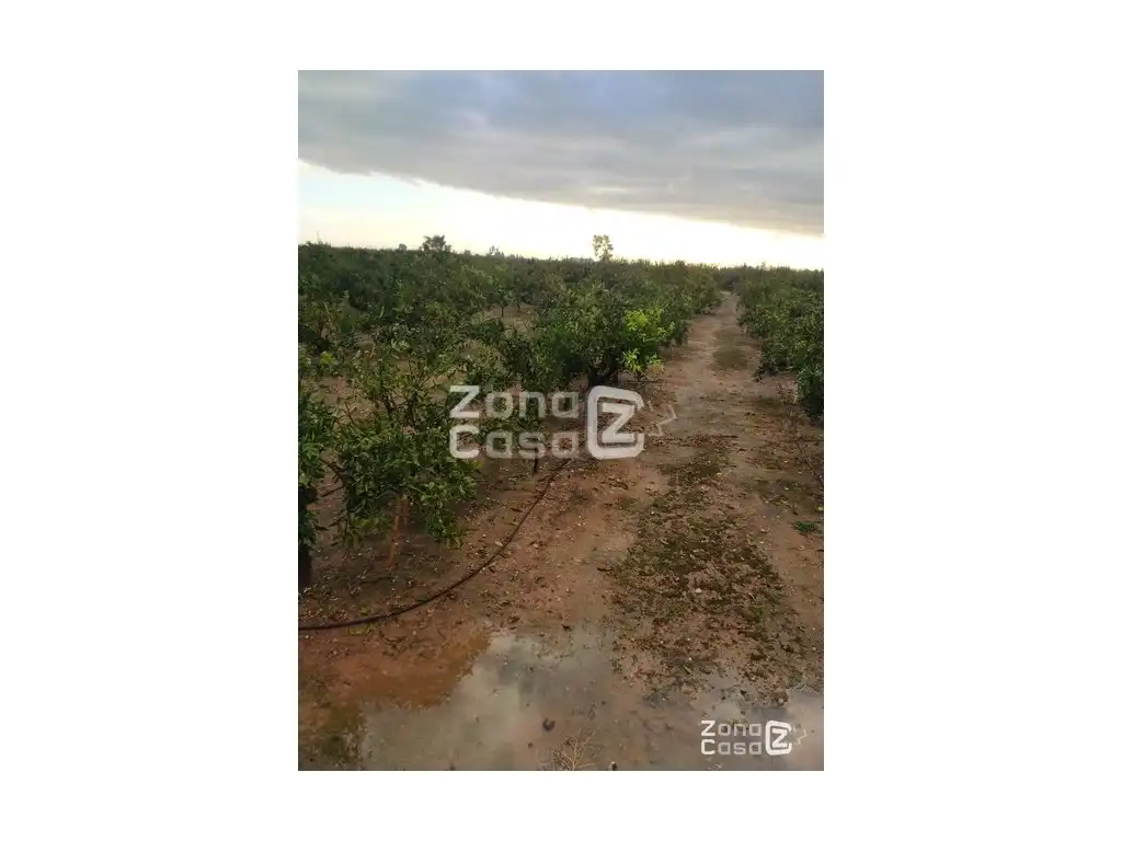 Country house for sale in Algemesí, imagen 2