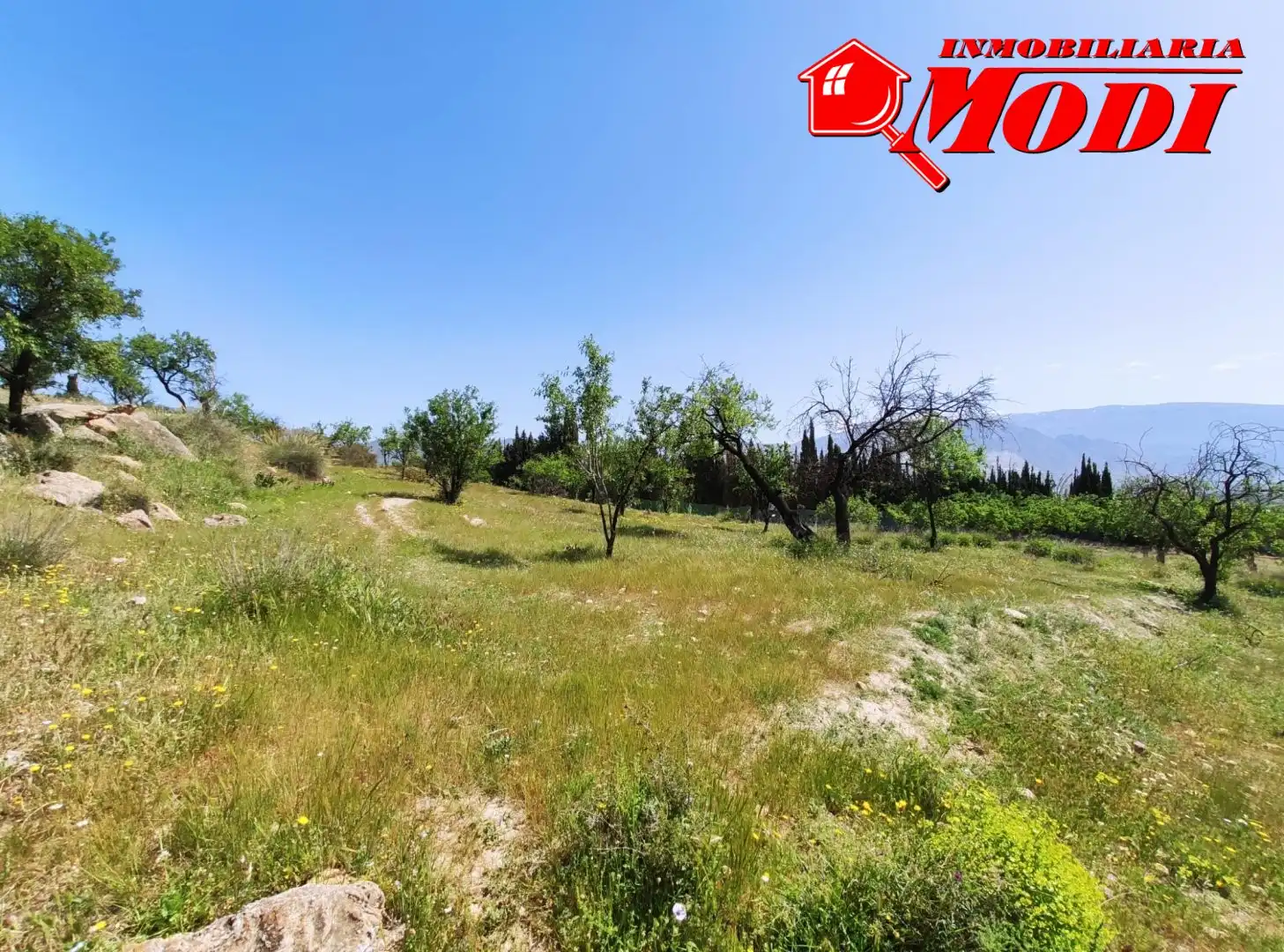 Lands and plots for sale in Villamena, imagen 3