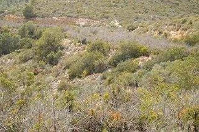 Terreno en Venta en Cabanes