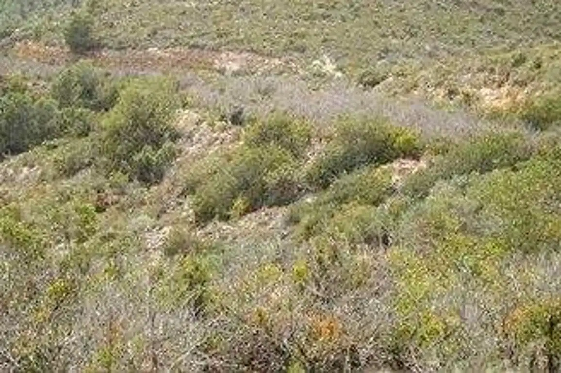 Terreno rustico in vendita a Cabanes, imagen 7