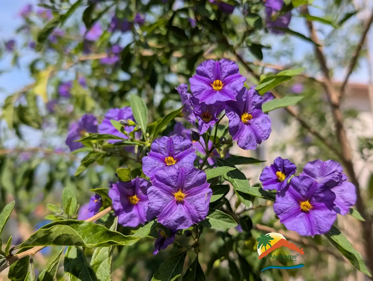 Jardí de Casa o xalet en venda en Vidreres amb Calefacció, Jardí privat i Terrassa