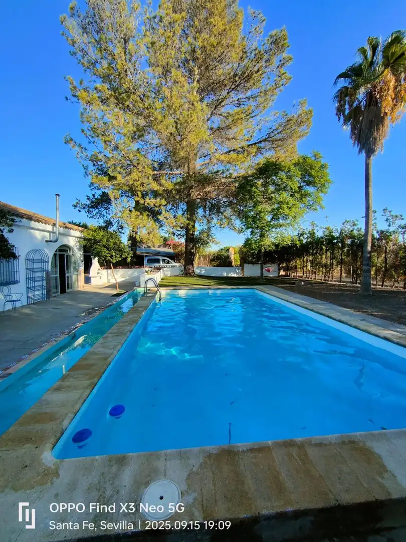 Piscina de Casa o xalet en venda en El Viso del Alcor amb Aire condicionat, Jardí privat i Piscina