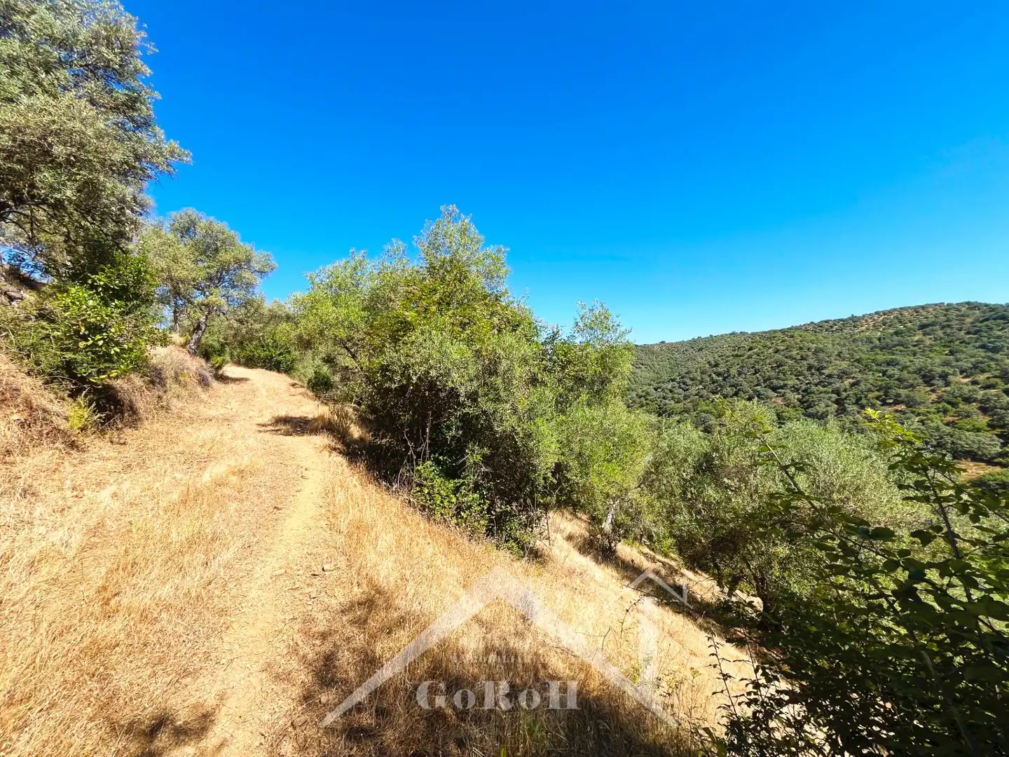 Grundstücke zum Verkauf in Constantina