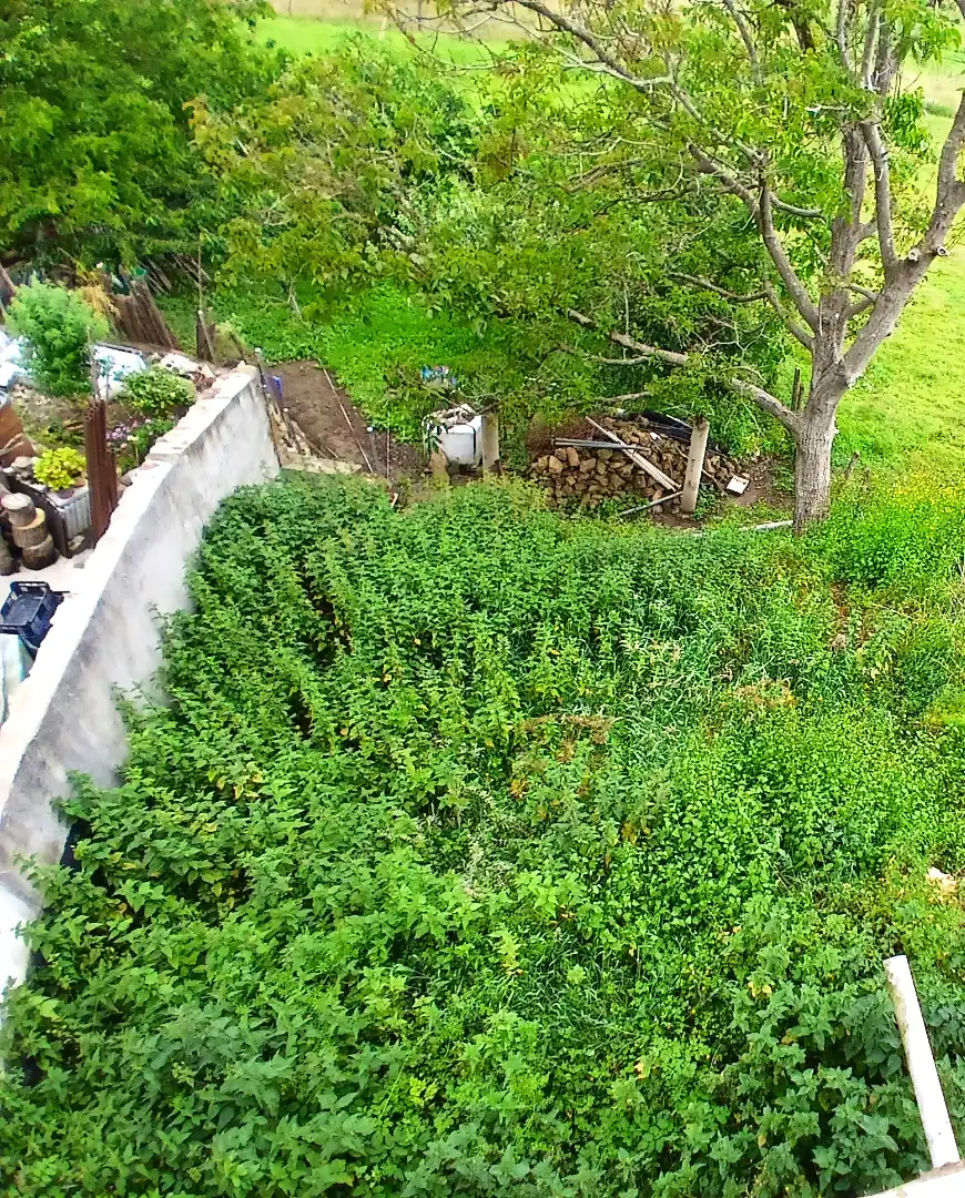 Adossat amb jardí en venda a Barrio Rascón, imagen 15