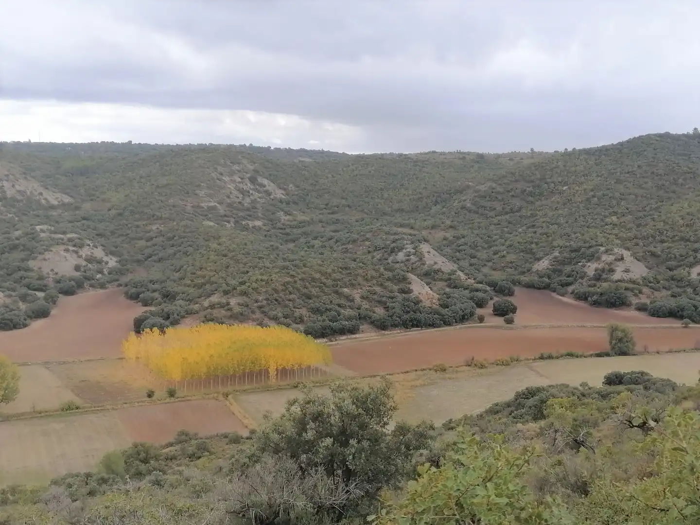 Terrain rustique à vendre à Monte Cutradas, imagen 7