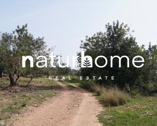 Land for sale in Torredembarra