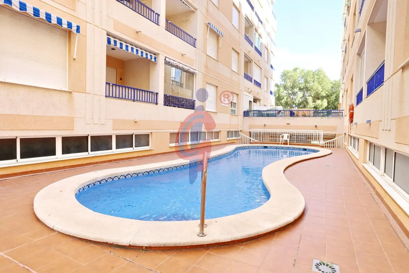 Piscina de Apartamento en venta en Guardamar del Segura con Terraza, Amueblado y Piscina comunitaria
