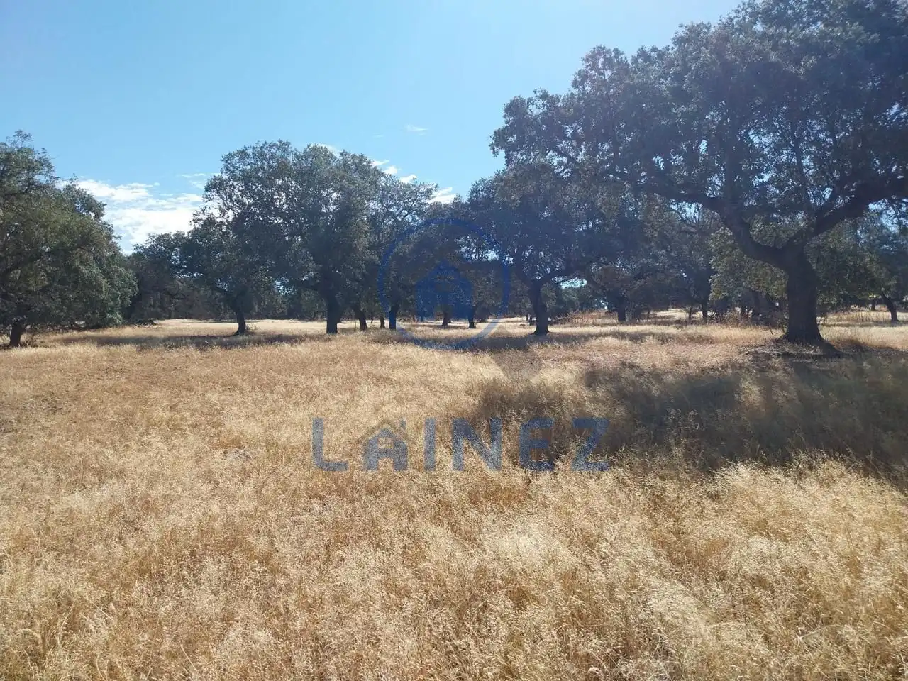 Lands and plots for sale in Fuente Obejuna, imagen 7