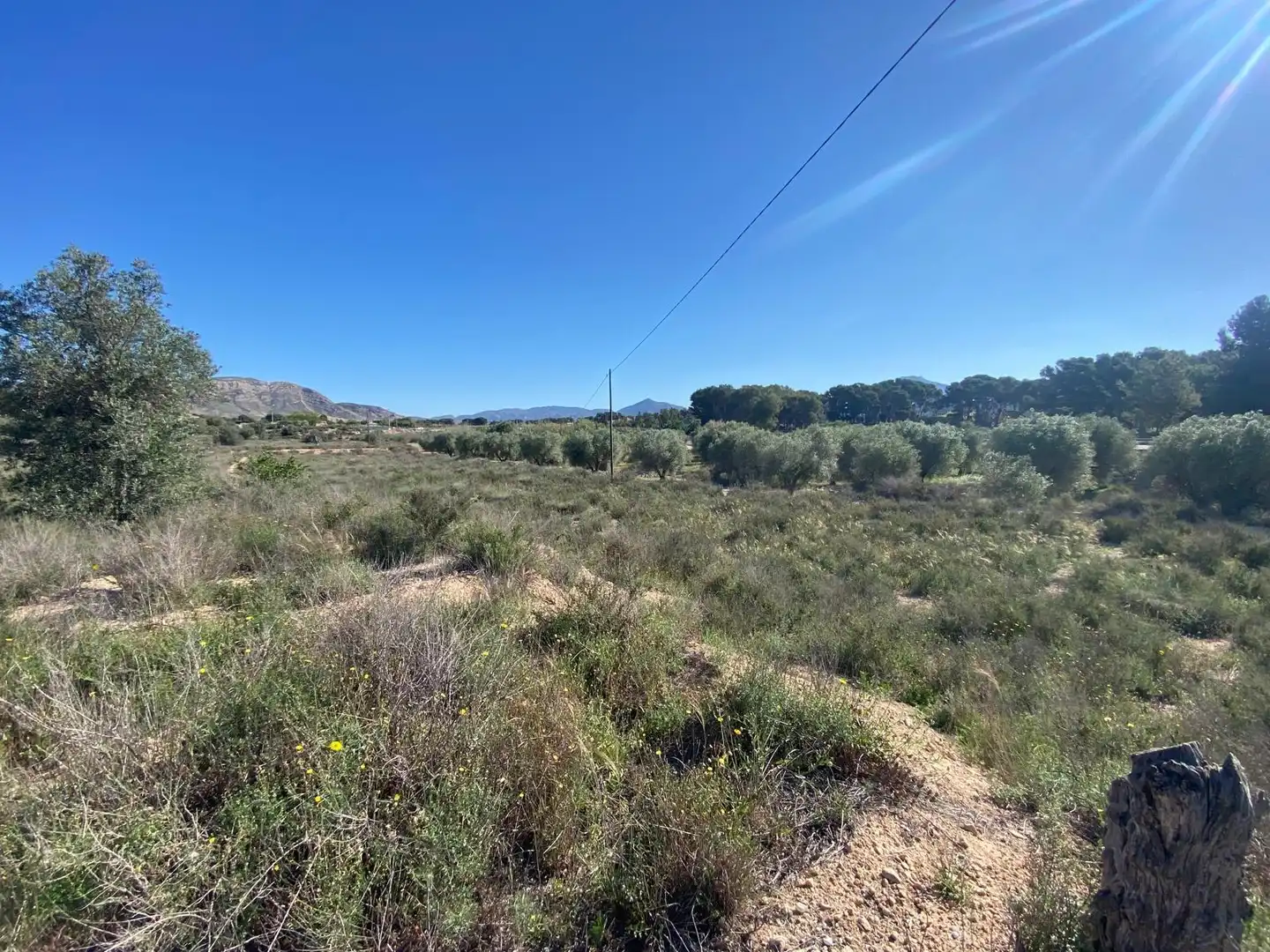 Casa o xalet en venda a Las Trescientas - San Francisco - Ciudad Vergel
