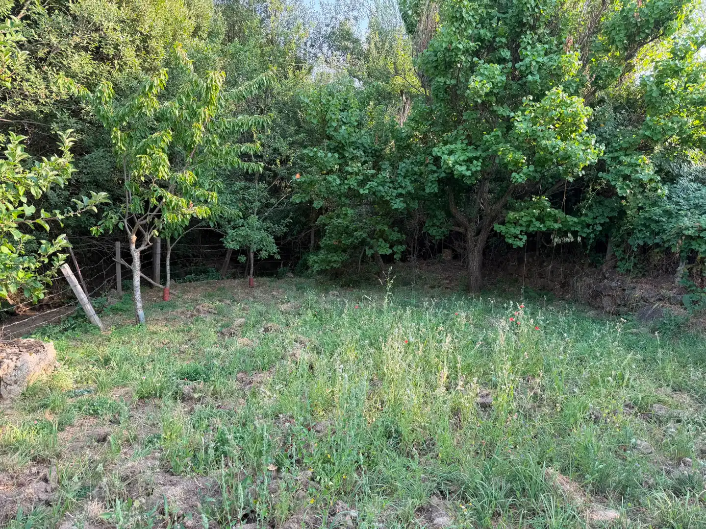 Casa o chalet en venta en Cillán