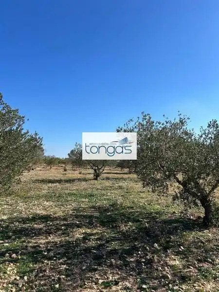 Grundstücke und Bauplätze zum Verkauf in Polígono parcela 593 9, imagen 5