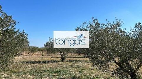 Venta de Parcela con Vistas Inmejorables en Playamonte, immagine 5