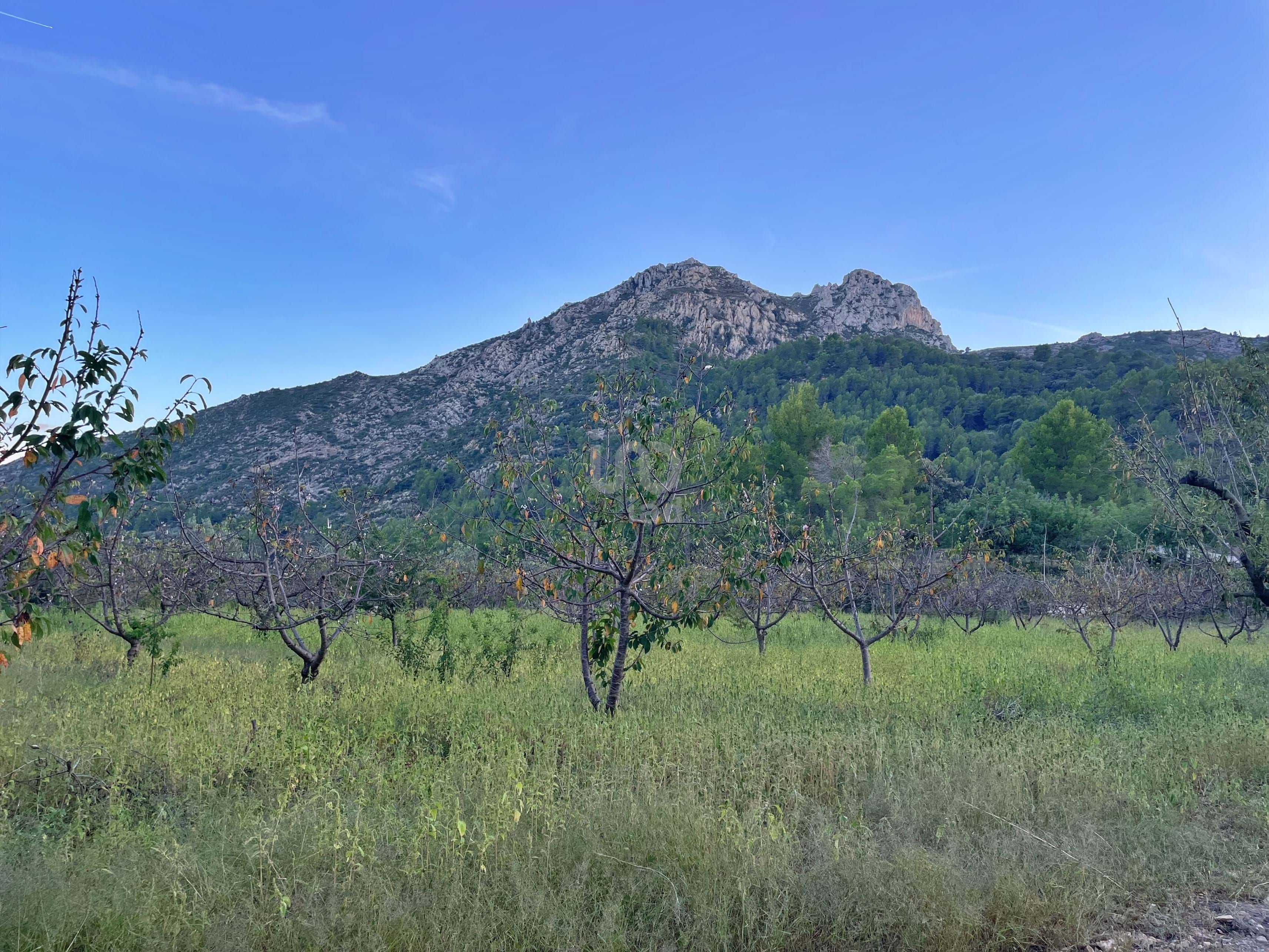 Residencial en venda en Murla