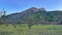 Residential for sale in Murla
