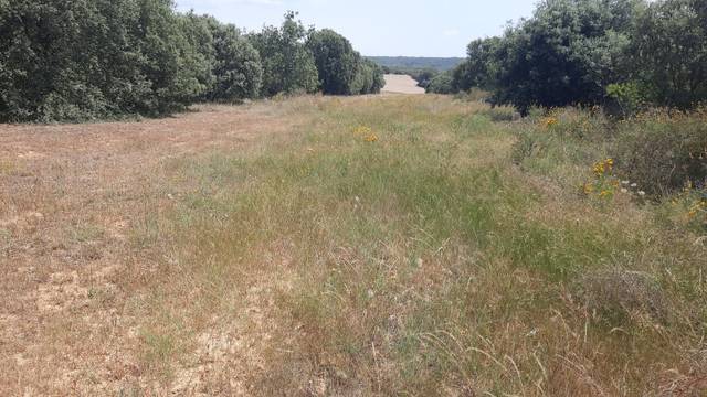 Terreno residencial en Venta en Villares de Órbigo