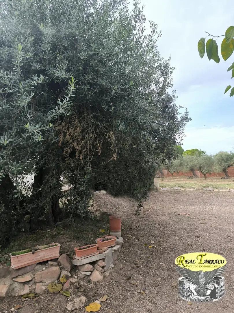 Country house with pool for sale in Migjorn, imagen 37