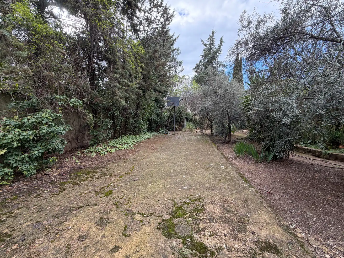 Xalet amb piscina en venda a Camino de El Vergel., imagen 16