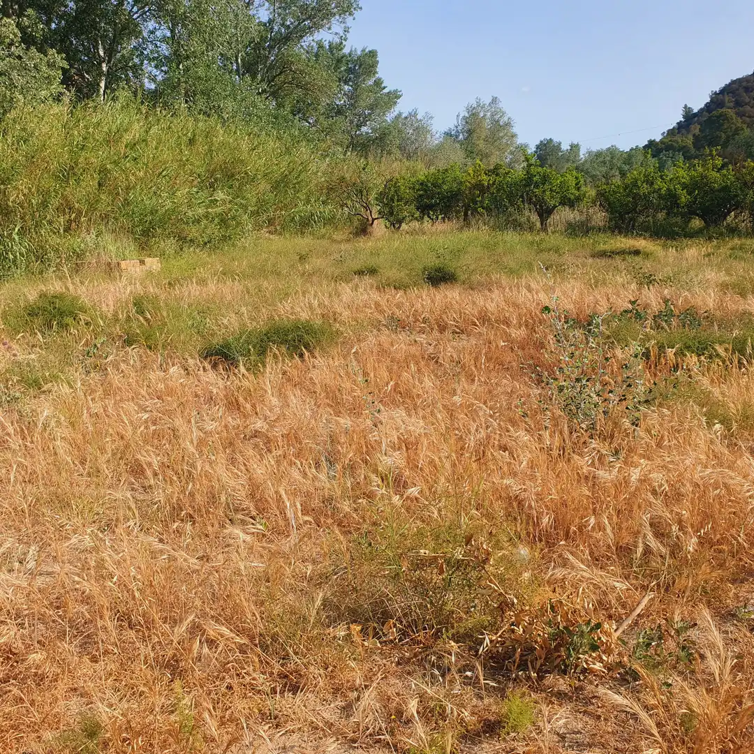 Terrain rustique à vendre à Rasquera, imagen 4