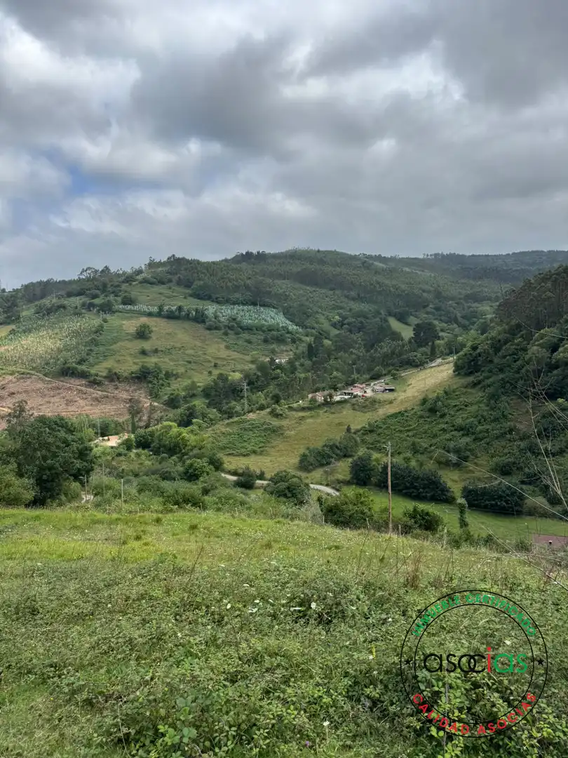 Terreny en venda en Villaviciosa