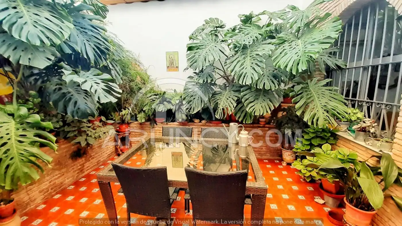 Houses for sale in Centro