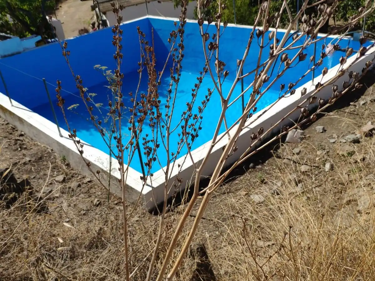 Swimming pool of Land for sale in Mijas