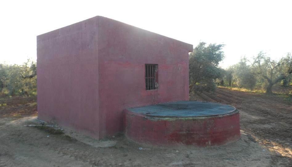 Foto 1 de Terreny en venda a Bollullos de la Mitación, Sevilla