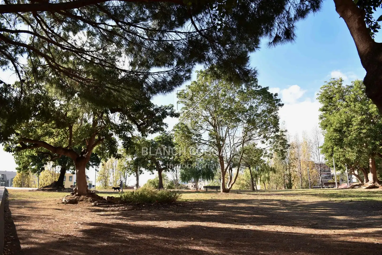 Local en venta en Passeig UNIVERSAL, Horta