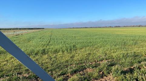 Foto 3 de Finca rústica en venda a Casco Histórico, Toledo