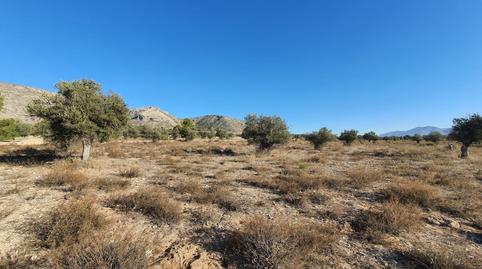 Foto 2 de Residencial en venta en Partida la Solana, San Francisco, Alicante