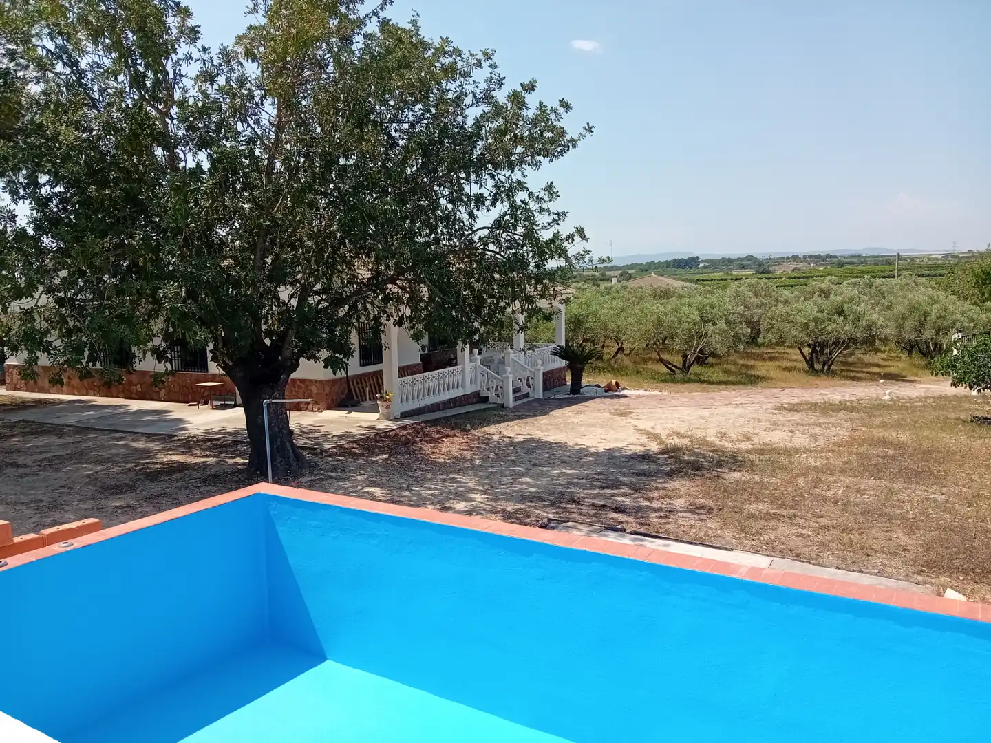 Piscina de Casa o chalet en venta en Torrent con Jardín privado, Terraza y Piscina