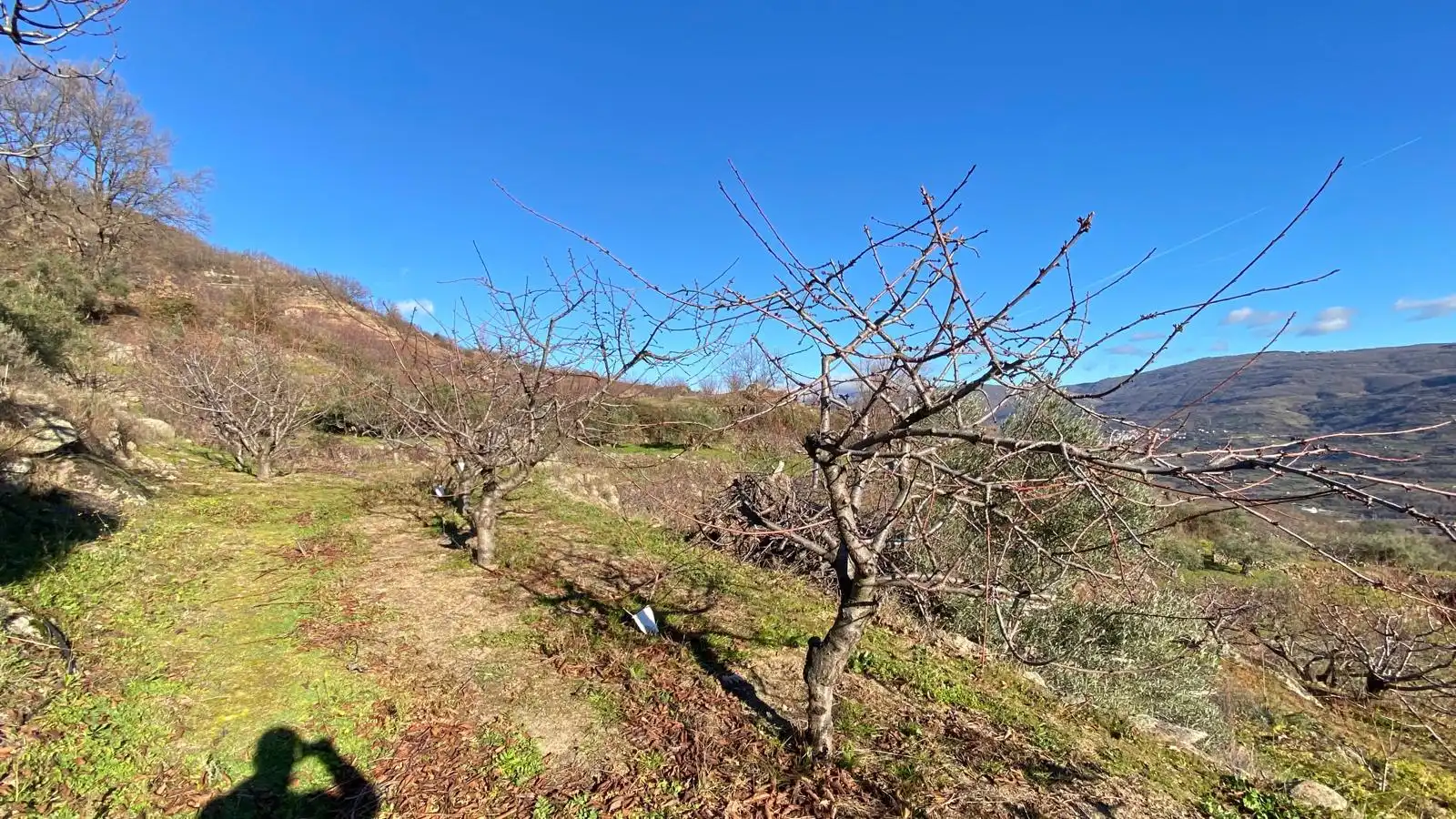 Terreni e lotti in vendita a El Torno, imagen 10